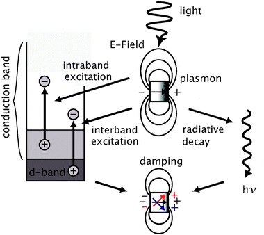 Simplified representation of radiative (right) and non-radiative (left) decay of plasmons in noble-metal nanoparticles. The non-radiative decay occurs via excitation of electron–hole pairs either within the conduction band (intraband excitation) or between the d-band and the conduction band (interband excitations). Radiative decay is proportional to the volume of the nanoparticle while non-radiative decay is inversely proportional. Plasmon decay, or damping, is manifested as the dephasing of the plasmon over the nanoparticle surface.