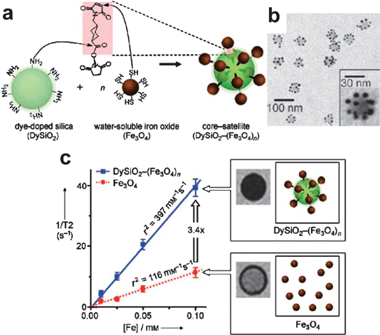 (a) Schematic diagram of the synthesis of core–satellite DySiO2–(Fe3O4)n nanoparticles. (b) Core–satellite DySiO2–(Fe3O4)n nanoparticles. (c) Synergistic MR enhancement effect of DySiO2–(Fe3O4)n. Reproduced with permission from ref. 21.