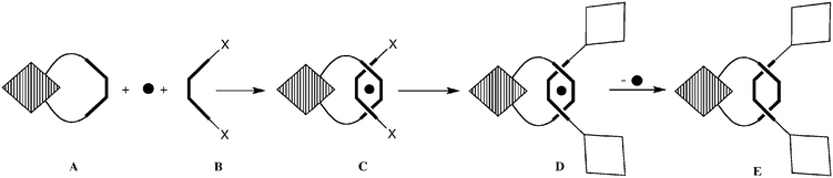 Principle of transition metal-templated synthesis of a [2]rotaxane whose ring incorporates a porphyrin. The thick line represents a dpp chelate, the black dot represents a metal cation, a hatched diamond symbolizes a Au(iii) porphyrin and an empty diamond stands for a Zn(ii) porphyrin. The transition metal controls the threading of Au(iii) porphyrin-incorporated macrocycle A onto chelate B, to form prerotaxane C. Construction of the porphyrin stoppers at the X functions leads to the metal complex [2]rotaxane D. Removal of the template cation forms the free rotaxane E.