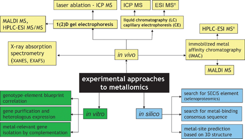 Experimental approaches to metallomics.