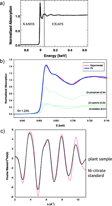 Analysis of metal-binding in plants by X-ray absorption spectrometry (XAS). (a) A typical XAS spectrum showing the XANES and EXAFS regions. Reprinted with permission from ref. 62; (b) XANES data fit showing the distribution of Zn into phosphate, cysteine and histidine complexes in leaves. Reprinted with permission from ref. 64; (c) EXAFS data fit confirming the identity of the Ni-citrate complex in a hyperaccumulating plant. Reprinted with permission from ref. 65.