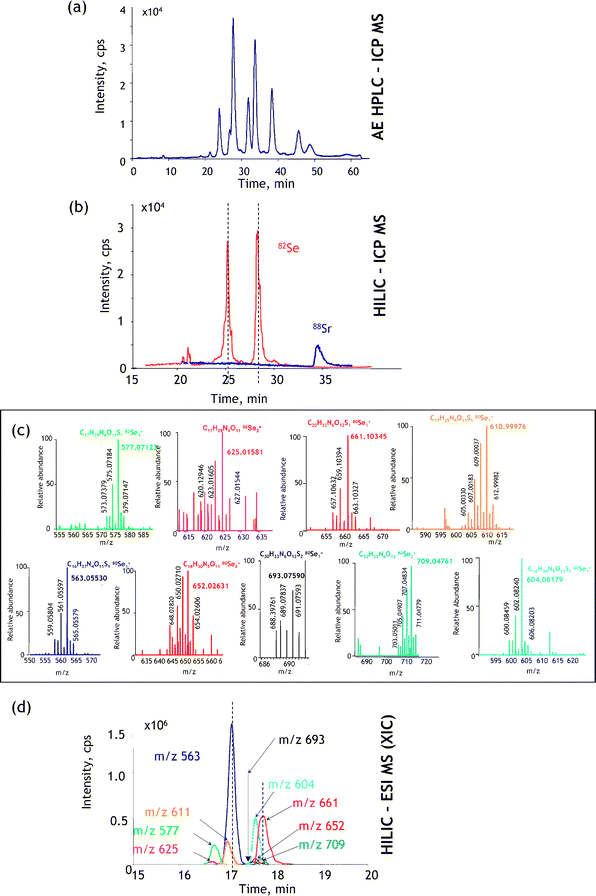 A generic approach to metallometabolomics. The example concerns the identification of a Se-metabolite in Se-rich yeast.68 (a) Verification of the number of heteroatom-containing species present by maximum resolution (in this case anion-exchange) LC-ICP MS; (b) verification of the quantitative recovery and retention times by HILIC-ICP MS (88Sr is monitored as a marker of the retention time of the elution of salts); (c) identification of the Se isotopic patterns at the relevant retention time by ESI MS; (d) reconstruction of the ESI FT MS extracted ion chromatograms. Reprinted with permission from ref. 68.