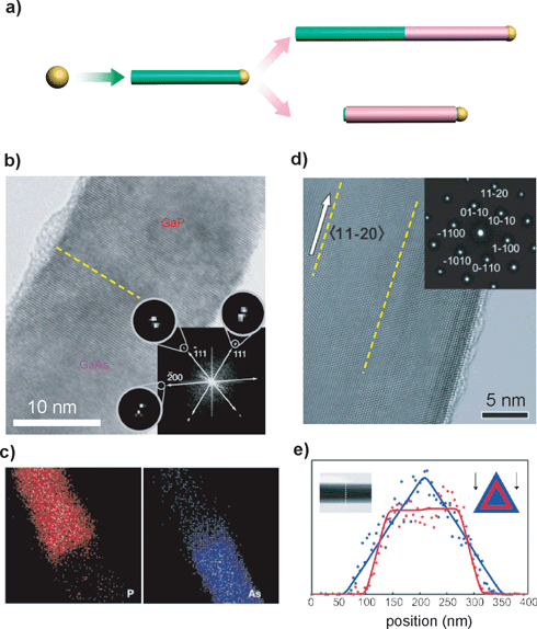 Axial and radial nanowire heterostructures. (a) Schematic of controlled synthesis; preferential reactant incorporation at the catalyst (growth end) leads to 1D axial growth. A change in the reactant leads to either axial (upper panel) or radial (lower panel) heterostructure growth depending on whether the reactant is preferentially incorporated at the catalyst or uniformly on the wire surface. (b) HRTEM of a GaAs/GaP junction; inset shows two-dimensional Fourier transform of the image. The dashed yellow line marks the junction interface. (c) Elemental mapping of P (red) and As (blue) content of the junction. (d) HRTEM image of single crystalline n-GaN/InGaN/p-GaN nanowire taken along the [0001] zone axis. The inset shows the corresponding electron diffraction pattern. Dashed yellow lines mark the junction interfaces. (e) Normalized EDX line profiles for gallium (blue symbols) and indium (red symbols). Insets: scanning TEM image of the nanowire, and model for the nanowire cross-section (blue and red regions represent GaN and InGaN, respectively). Adapted from ref. 22 and ref. 25.