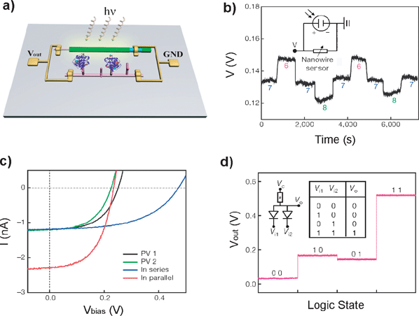 Integrated and self-powered nanosystems. (a) Schematic of self-powered nanowire biosensor. (b) Real-time detection of the voltage drop across a modified silicon nanowire at different pH values. The silicon nanowire pH sensor is powered by a single silicon nanowire photovoltaic device. (c) Light I–V curves (1-sun, AM 1.5 G) of two silicon nanowire photovoltaic devices (PV 1 and PV 2) individually and connected in series and in parallel. (d) Nanowire AND logic gate powered by two silicon nanowire photovoltaic devices in series. Adapted from ref. 12.