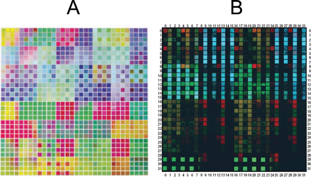 (A) Photograph of a quaternary metal oxide library produced using the masking scheme shown in Fig. 9. The total size is 2.5 cm square. (B) Photograph of the luminescence of the library under irradiation from a UV lamp. Reprinted with permission from Science, 1998, 279, 1712. Copyright 1998 AAAS.