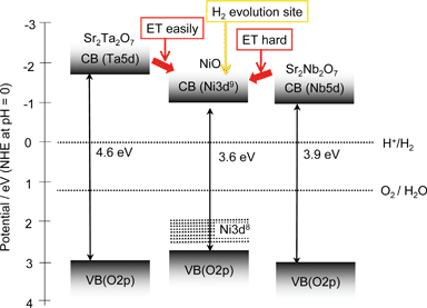 Band structures of Sr2M2O7 (M = Nb and Ta) photocatalysts and NiO co-catalyst.109