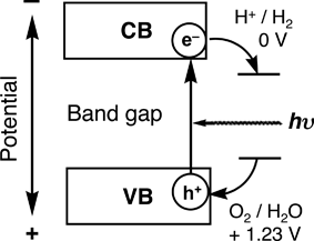 Principle of water splitting using semiconductor photocatalysts.