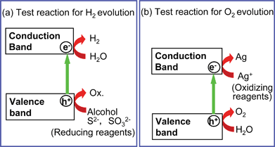 H2 or O2 evolution reaction in the presence of sacrificial reagents—Half reactions of water splitting.