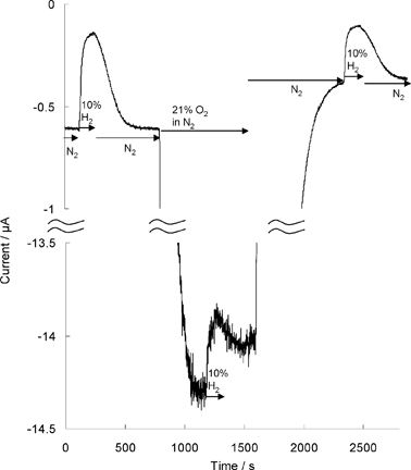 H2 production by Rm [NiFe]-MBH in the presence of 21% O2. Experimental conditions: pH 5.5, potential –0.45 V vs.SHE, electrode rotation rate 3000 rpm, 40 °C, N2 is the carrier gas throughout the experiment and the concentrations of H2 and O2 indicated are introduced into the head gas. Figure reproduced with permission from ref. 23 (copyright 2008 American Chemical Society).