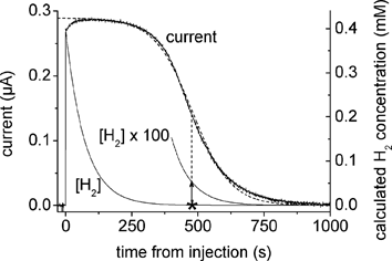 Experiments to measure  for wild-type Re [NiFe]-MBH at a potential of –108 mV vs.SHE. At time = 0 s, 2 mL of H2-saturated buffer (pH 5.5, 30 °C) was injected into the cell, which originally contained 2 mL of N2-saturated electrolyte of the same composition and temperature. Current vs. time traces are shown (bold trace), and overlaid on these are the H2 concentration which decreases exponentially (thin trace) and the sigmoidal fit (dotted trace). The electrode was rotated at a constant rate of 4500 rpm. The extended ‘plateau region’ at the start of the experiment typifies an enzyme with a high affinity for H2. Figure reproduced from ref. 18 with permission (Copyright 2008, American Society for Biochemistry and Molecular Biology).