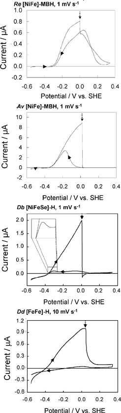 Inactivation and subsequent re-activation of various hydrogenases after reaction with O2. Each O2 injection involved introduction of 0.2 mL of O2-saturated buffer into a 2 mL cell solution, resulting in ca. 90 µM O2 in the cell solution. The constant H2 flow rate and electrode rotation rate ensure that the O2 is flushed out after injection, and after 300 s no O2 remains in solution. All experiments were conducted at pH 6, 30 °C, 1 bar H2, at an electrode rotation rate of 2500 rpm. Panels 1, 2 and 4 are reprinted, with permission, from ref. 13 (copyright 2005 American Chemical Society), and panel 3 is reprinted, with permission, from ref. 29 (copyright 2008 American Chemical Society).