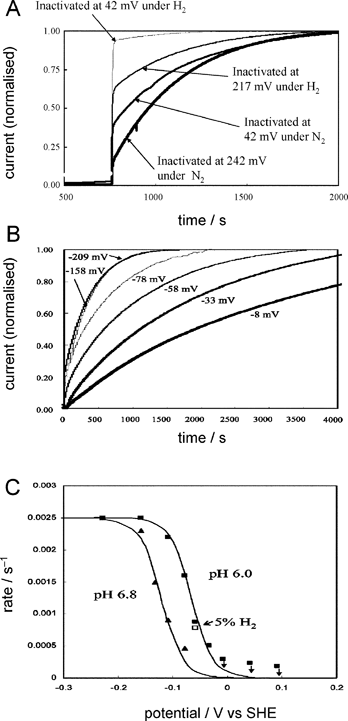 Experiments to investigate the formation and re-activation of the Unready (Ni-A) state of Av [NiFe]-MBH. Panel A shows the time-course of re-activation at −158 mV following injection of O2 under the conditions indicated for each trace. Note here that following exposure to O2 at low potential, the fast phase corresponding to Ready (Ni-B) predominates, whereas following exposure to O2 at high potential, the slow phase corresponding to Ni-A predominates. Panels B and C show the dependence of reactivation of Ni-A on electrode potential. All experiments were conducted at 45 °C, at an electrode rotation rate of 2500 rpm, and at 1 bar H2 and pH 6 unless otherwise stated. Panel A is reprinted, with permission, from ref. 28 (copyright 2004 American Chemical Society), and Panels B and C are reprinted, with permission, from ref. 27 (copyright 2005 American Chemical Society)