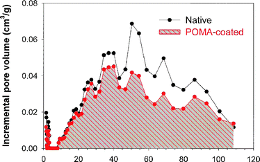
            Pore-size distribution plots derived from N2-adsorption isotherms for a carbon nanofoam before (native) and after electrodeposition of an ultrathin poly(o-methoxyaniline), POMA, coating.