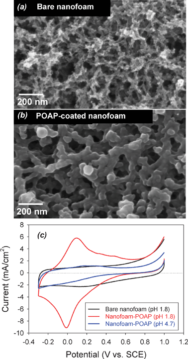 
              Scanning electron micrographs for (a) bare and (b) carbon nanofoam paper coated with poly(o-aminophenol), POAP; and (c) cyclic voltammetry at 2 mV s−1 for the bare and POAP-coated carbon nanofoams in aqueous electrolytes of different pH.