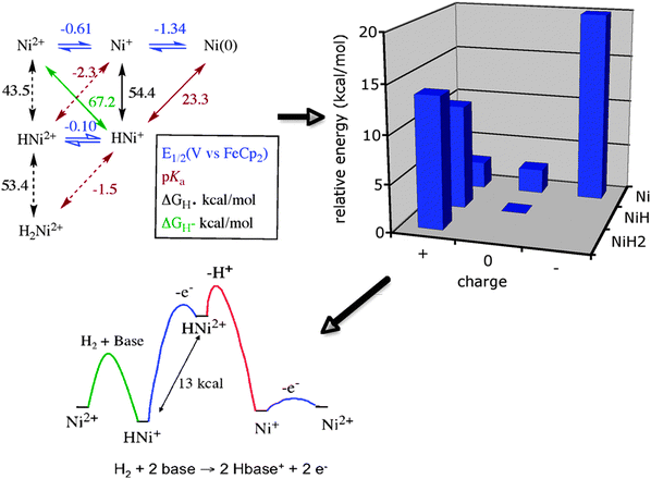 Relationships between thermodynamic diagrams (top left diagram), a free energy landscape showing the relative energies of all species derived from M–H bond cleavage reactions (top right bar graph, acetonitrile solutions, 1 atm H2, and pH = 8.5), and the reaction profile for the electrocatalytic oxidation of H2 using [Ni(depp)2]2+ as the catalyst under the same conditions.