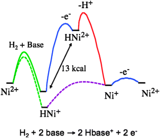 Comparison of free energy reaction profiles for the electrocatalyic oxidation of H2 using [Ni(depp)2]2+, discussed previously (solid lines), and [Ni(PNP)2]2+ (dashed lines) as catalysts under the same conditions.