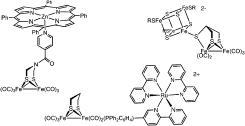 Synthetic models with appended clusters and photosensitizers.23,24