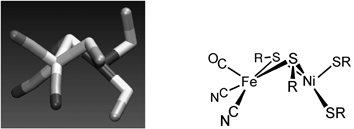 Structure of the active site of the [NiFe]-H2ase and line drawing of the same.