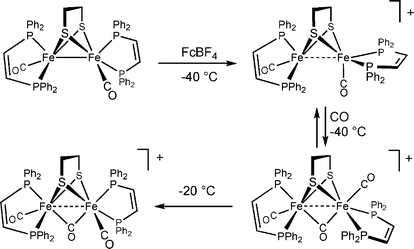 Generation of models for the Hox and HoxCO states.