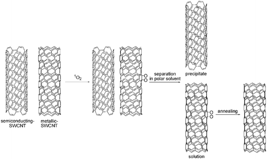Reversible cycloaddition of singlet oxygen to SWCNT and separation of semiconducting SWCNT from metallic SWCNT.