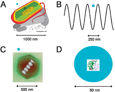 Scale classification of HMA: nano-scale, micro-scale, meso-scale and