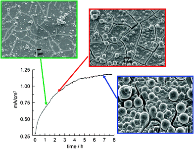Current density profile for bulk electrolysis at 1.29 V (vs.NHE) in 0.1 M KPi electrolyte at pH 7.0 containing 0.5 mM Co2+. SEM images of the electrode surface taken at indicated time points during the electrodeposition of the catalyst film. The ITO substrate can be seen through cracks in the dried film.
