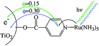 A schematic illustrating excitation wavelength-dependent injection yields for Ru(NH3)5(ina)/TiO2, i.e. 15% with 532 nm and 30% with 416 nm. Taken from cover artwork of ref. 290.