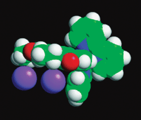 Space-filling representation of the crystal structure of a single sensitizer determined by X-ray diffraction showing two iodides associated with the deeb ligand in [Ru(bpy)2(deeb)]2+. This geometry would allow for facile reductive quenching of the excited or oxidized forms of the molecule and the proximity of a second iodide could favor I2˙− generation as per eqn (11). Taken from cover artwork of ref. 133.