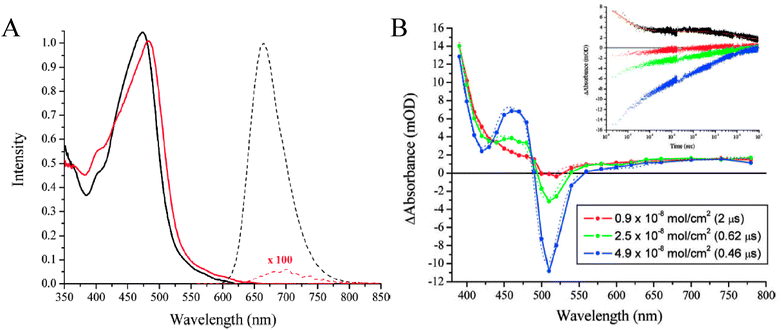 (A) Absorption and photoluminescence spectra of Ru(dtb)2(dcb)/TiO2 in 0.1 M LiClO4 acetonitrile electrolyte (red spectra) and in neat acetonitrile after removal of the LiClO4 by ten neat acetonitrile washings (black spectra). (B) Transient absorption difference spectra for three Ru(dtb)2(dcb)/TiO2 thin films at the indicated surface coverages and delay times measured after pulsed 532 nm excitation in 0.1/0.5 M LiClO4/TBAI acetonitrile electrolyte. Overlaid are simulations of the data represented by dashed lines. Inset: Time-resolved, single wavelength absorption difference spectra measured at 510 nm for each surface coverage, corresponding to cation transfer, and a single difference spectrum measured at 433 nm (black spectrum with orange fit), corresponding to I3− loss due to TiO2(e−) + I3− recombination. Taken from Fig. 1 and 2, respectively, of ref. 381.