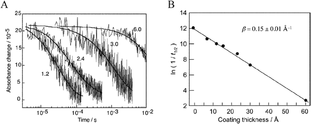 (A) Time-resolved, single-wavelength absorption difference spectra for Ru(4′-PO32−-tpy)(NCS)3/TiO2 thin films illustrating that the rate of recombination was inversely related to the size of the Al2O3 overlayer illustrated in Fig. 16(a). Al2O3 overlayer thickness in nanometers are shown. (B) Plot of the natural logarithm of the recombination half-life versus the Al2O3 coating thickness illustrating tunneling behavior. Taken from Fig. 8 and 9, respectively, of ref. 271.