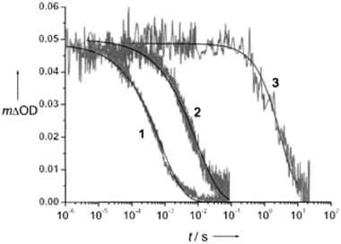 Time-resolved, single-wavelength absorption difference spectra for Ru(4,4′-(R)2-bpy)(dcb)2/TiO2 thin films, where R contained one triphenylamine (NPh3) group (1), two NPh3 groups (2), or a poly(vinyl-NPh3) group of about 100 units (3), as depicted in Fig. 25(b). Taken from Fig. 2 of ref. 332.