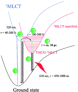 Lennard-Jones potential energy wells illustrating the relative electronic and vibrational energies and lifetimes for Ru(bpy)32+. Both internal-conversion thermal relaxation (2) and intersystem crossing (3) occur in the sub-picosecond time scale while the lifetime of the thexi state (5) is up to a microsecond. Taken from Fig. 9 of ref. 129.