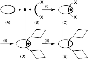 Schematic representation of the principle of transition-metal macrocyclic chelate (A), a metal cation (black moon) and an open chelate (B). The latter bears at its extremities functions X which can be employed for anchoring or constructing stoppers (represented as diamonds). (i) The threading step affords the pseudorotaxane (C). (ii) The stoppering step affords the metal-complexed rotaxane (D). (iii) Removal of the metal template releases the free rotaxane (E).