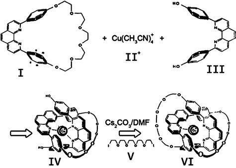 Templated synthesis of the copper(i) catenate VI using Strategy B outlined in Fig. 2.