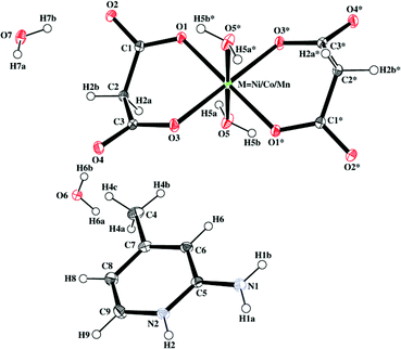 Representative ORTEP diagram of compounds 1–3. Thermal ellipsoids are drawn at the 30% probability level. Atoms marked with an asterisk (*) are at equivalent position (* = 1 −x, −y, −z for 1; 1 −x, 1 −y, 1 −z for 2;1 −x, 1 −y, –z for 3).