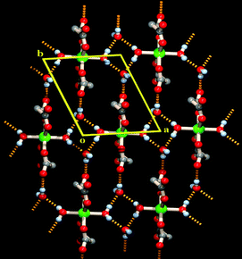 Organization of the monomeric [M(mal)2(H2O)2]2− units (M = Ni/Co/Mn) into a 2D layer in the ab plane in which the water tetramer acts as a supramolecular subunit.