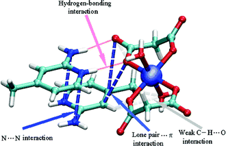 Schematic view of the AIM analysis, revealing the occurrence of N⋯N and lone pair⋯π interactions (dotted blue lines), weak C–H⋯O interactions (dotted light gray lines) and hydrogen bonds (red lines). Both lines schematically represent the bond path connecting two interacting atoms through the bond critical points as obtained through the AIM analysis (see Computational details for further information). For the sake of clarity, critical points are not displayed.