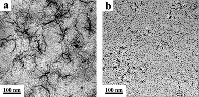TEM images of KLaF4 nanocrystals obtained from the thermolysis of 1 mmol K(CF3COO) and 1 mmol La(CF3COO)3 in OA/OM/ODE (1:1:2) at 280 °C for different reaction times: (a) 30 min, (b) 120 min.
