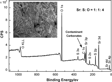 XPS and SEM (inset) spectra of the precipitate formed during the removal of Sr2+ using irradiated [C4mim][NTf2].