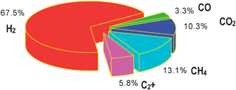 Typical gas composition of a 100 kW gasifier operated in the Absorption Enhanced Reforming (AER) mode.