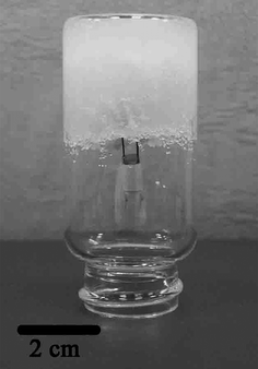 The PAAK–KCl–H2O hydrogel electrolyte along with a partially immersed MnO2·nH2O-based EC in a container in an inverted position (from ref. 82).