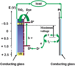 Schematic illustration of the working principle of dye-sensitized solar cells.