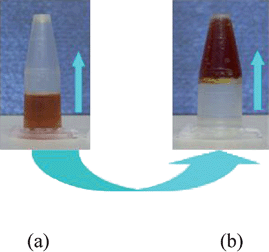 The photographs of the LiI–C2H5OH electrolyte system at room temperature: (a) liquid state without adding SiO2nanoparticles; (b) solid state with SiO2nanoparticles (14 nm, 5 wt%).