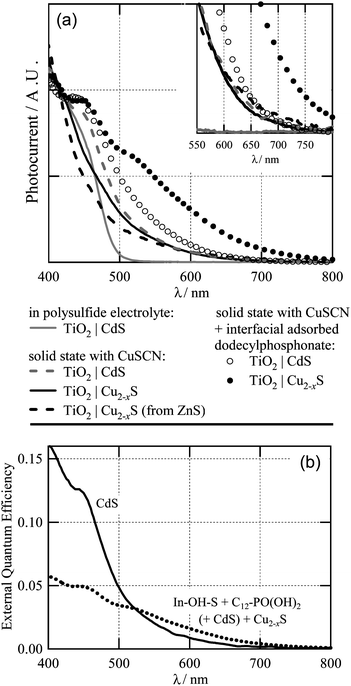 (a) Relative photocurrent as a function of wavelength of CdS cell in polysulfide electrolyte.14 The plots are scaled to allow comparison between cells of varying performance (see text). Inset: Zoomed view of photocurrent over the 550–800 nm range. (b) External quantum efficiency of a solid-state CdS cell (solid line) and Cu2−xS cell with In–OH–S and dodecylphoshonate buffer layers (dotted line).