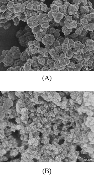 Different zeolite materials used in the study. (A) NaY (Aldrich) and (B) nano-NaY.14
