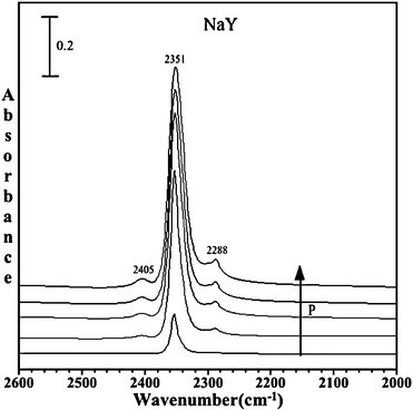 
            FTIR spectra of adsorbed C16O2 in dry commercial NaY zeolite as a function of pressure (P = 1.0, 5.2, 10.6, 14.2 and 20 Torr). The spectral region shows the ν3 mode of adsorbed carbon dioxide.