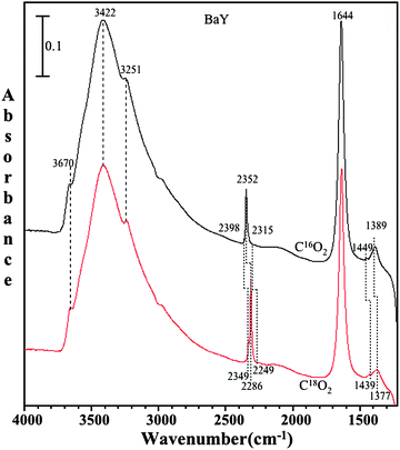 
            FTIR spectra of adsorbed C16O2 (black) and adsorbed C18O2 (red) in the presence of co-adsorbed water on BaY zeolite at pressure of 1 Torr and temperature of 296 K.