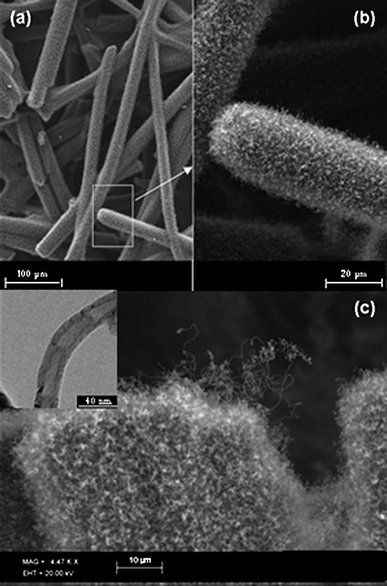 
          Scanning Electron Micrograph (SEM) images of CNT modified carbon fibre paper shows: (a) and (b) a dense entanglement of carbon nanotube network which entirely covers the individual carbon fibres whilst still retaining the microporous nature of the host carbon fibre paper; (c) high resolution image of the CNT modified carbon fibre and (inset) Transmission Electron Microscope (TEM) image of an individual multi-wall carbon nanotube grown on the CFP.
