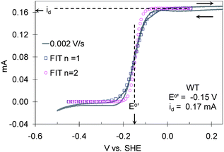 
            Cyclic voltammetry of the G. sulfurreducensWT biofilm recorded at 0.002 V s−1 from 0.25 V to −0.50 V and back to 0.25 V vs.SHE qualitatively fitted to eqn (6) for n = 1 and n = 2, id = 0.17 ± 0.005 mA and E0′ = −0.145 ± 0.01 V vs.SHE.