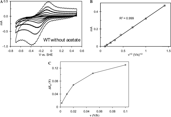 For the WT G. sulfurreducens biofilm, A: CV recorded from the indicated positive potential limit to the negative potential limit to the positive potential limit over a range of scan rates from 0.01 V s−1 to 2 V s−1 in the absence of acetate; B: Plot of ivs.v1/2.